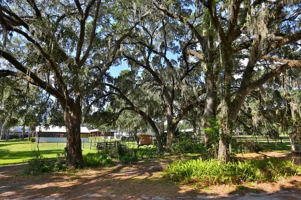 13450 NW Gainesville Road Reddick FL 32686