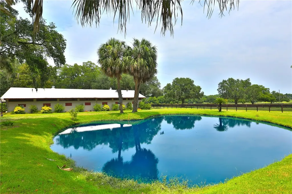 13450 NW Gainesville Road Reddick FL 32686