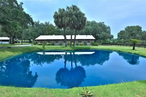 13450 NW Gainesville Road Reddick FL 32686