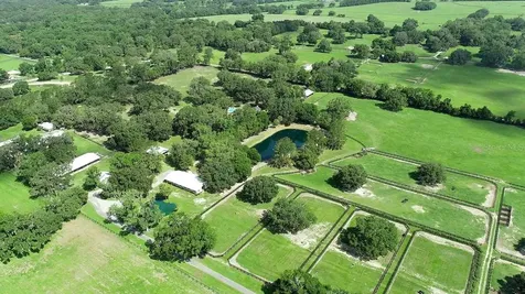 13450 NW Gainesville Road Reddick FL 32686