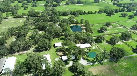 13450 NW Gainesville Road Reddick FL 32686