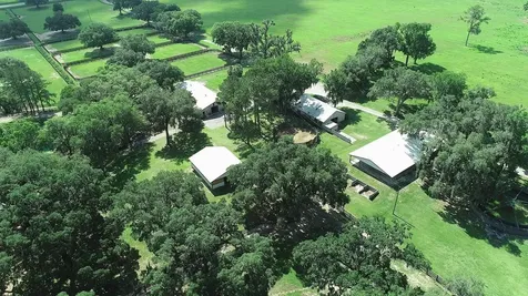 13450 NW Gainesville Road Reddick FL 32686