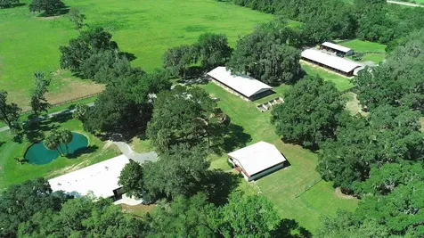 13450 NW Gainesville Road Reddick FL 32686