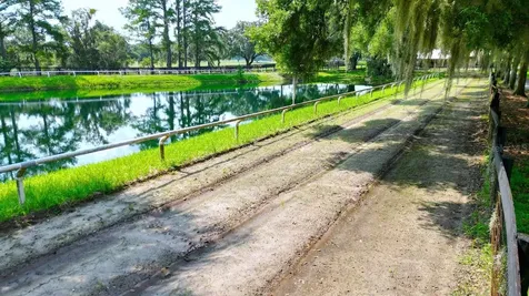 13450 NW Gainesville Road Reddick FL 32686