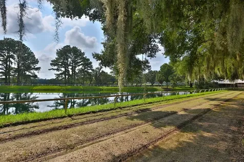 13450 NW Gainesville Road Reddick FL 32686