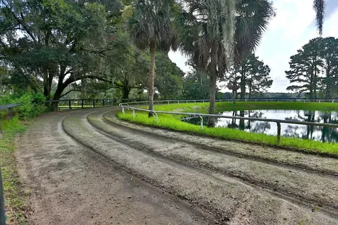 13450 NW Gainesville Road Reddick FL 32686