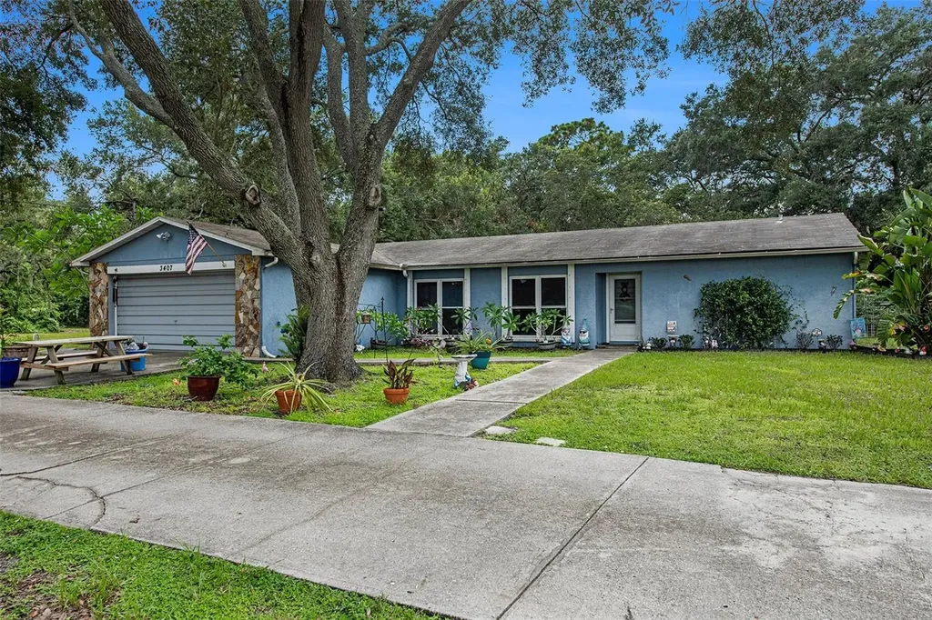 3407 Delaney Creek Lane Tampa FL 33619