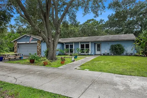 3407 Delaney Creek Lane Tampa FL 33619