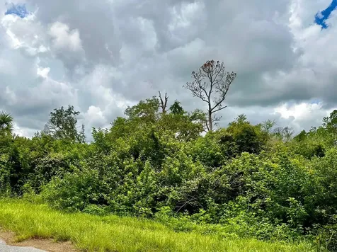Raven Street North Port FL 34286