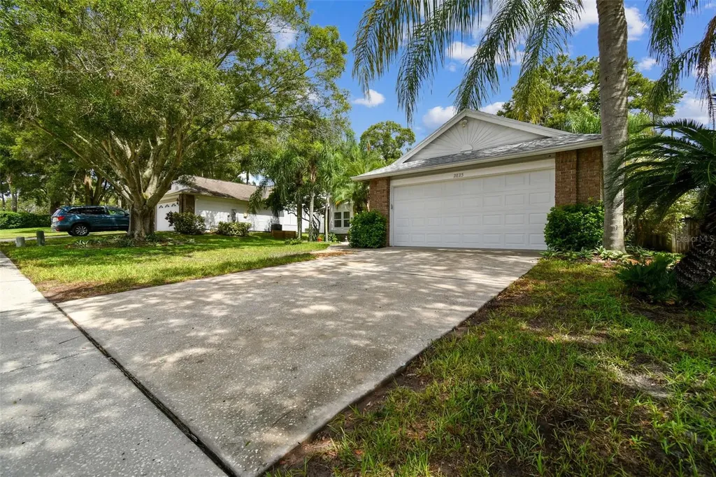 2825 Penridge Drive Palm Harbor FL 34684
