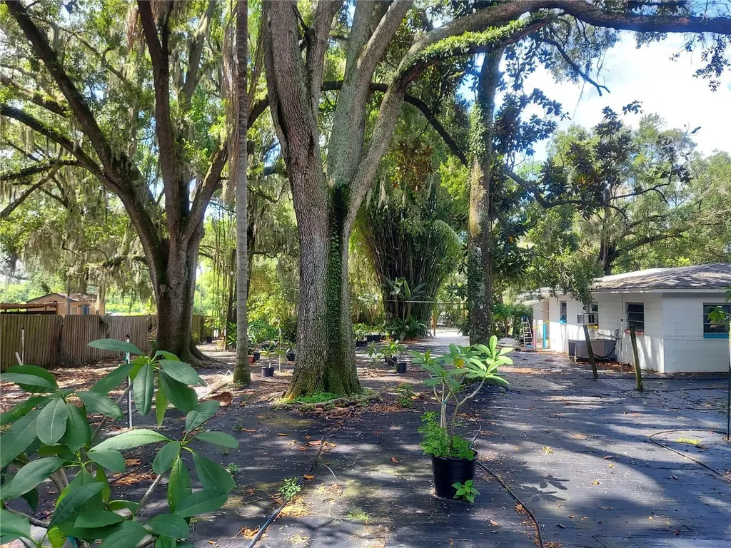 453 W Drive Martin Luther King Jr Boulevard Seffner FL 33584