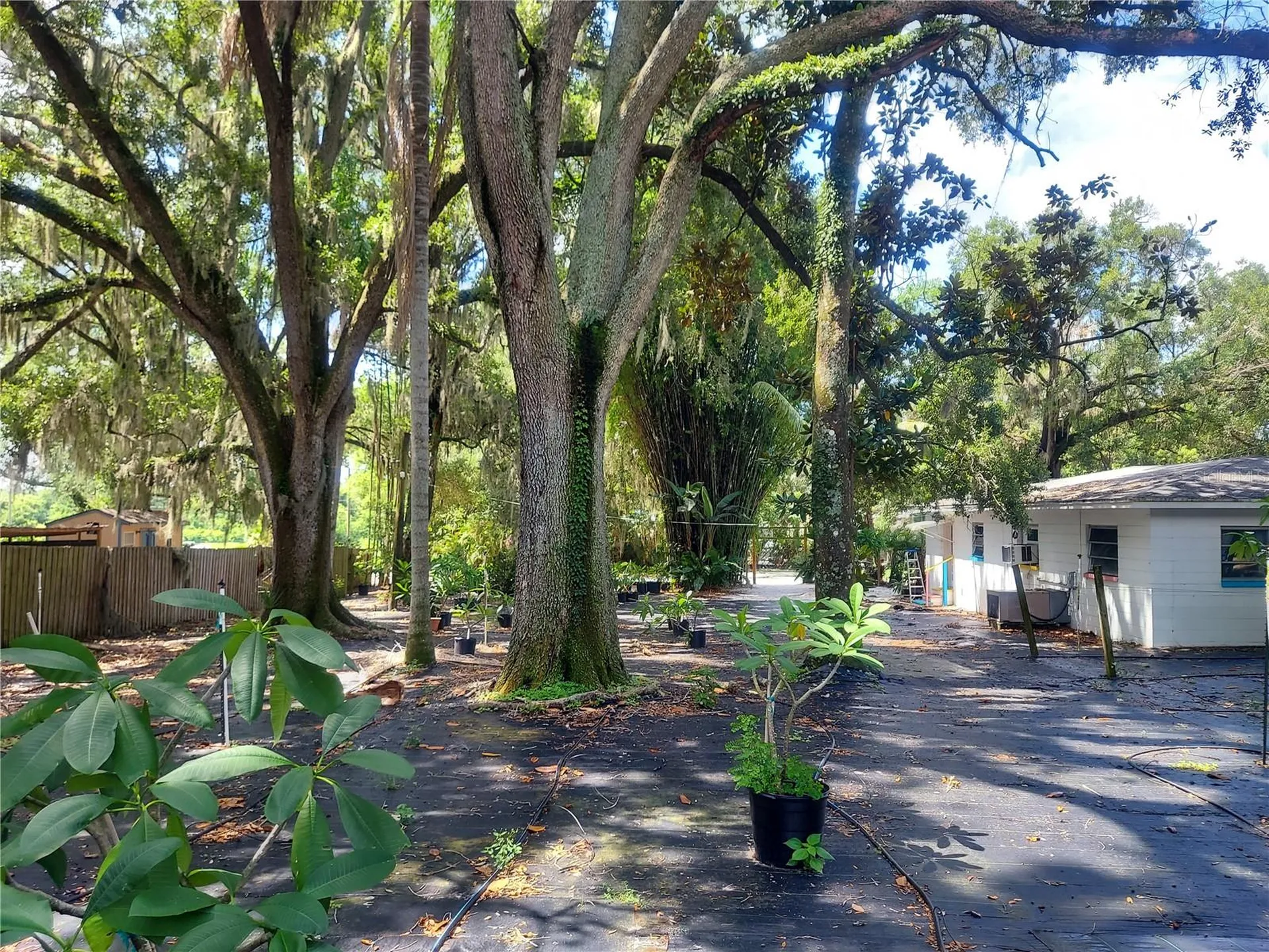 453 W Drive Martin Luther King Jr Boulevard Seffner FL 33584