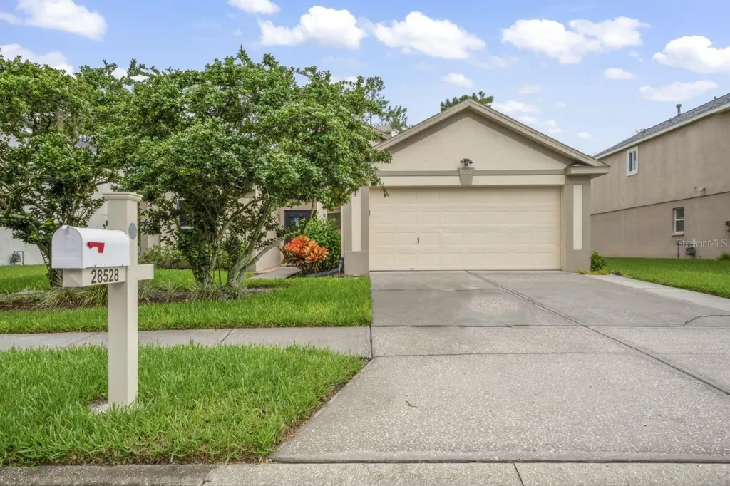 28528 Tall Grass Drive Wesley Chapel FL 33543