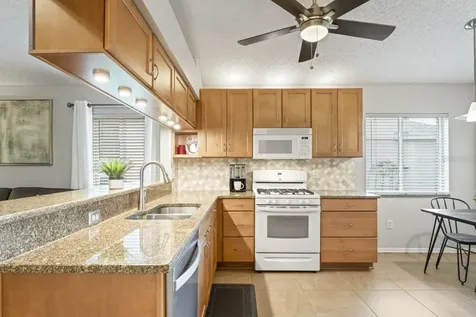 28528 Tall Grass Drive Wesley Chapel FL 33543