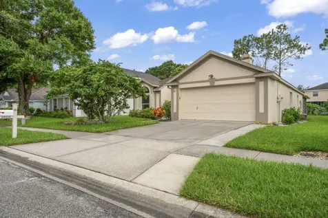 28528 Tall Grass Drive Wesley Chapel FL 33543