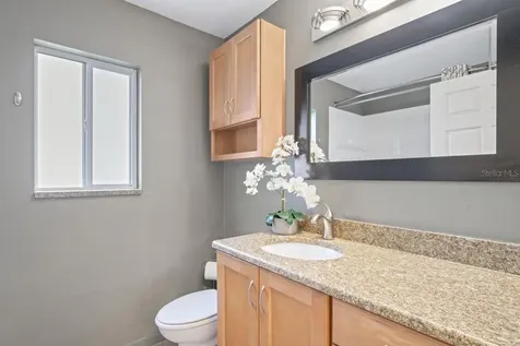 28528 Tall Grass Drive Wesley Chapel FL 33543