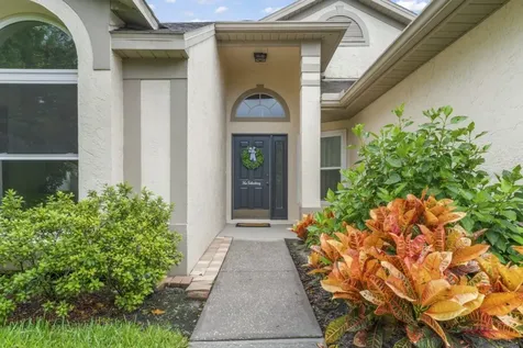 28528 Tall Grass Drive Wesley Chapel FL 33543