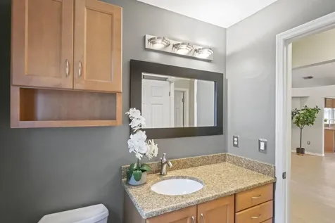 28528 Tall Grass Drive Wesley Chapel FL 33543