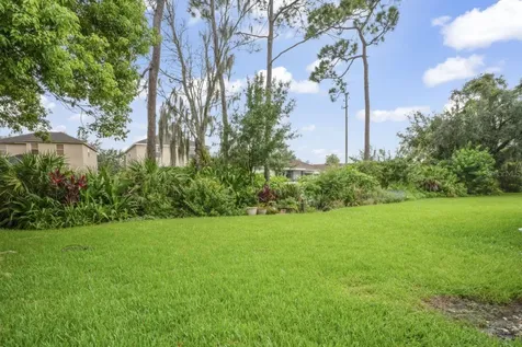 28528 Tall Grass Drive Wesley Chapel FL 33543