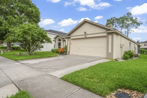 28528 Tall Grass Drive Wesley Chapel FL 33543
