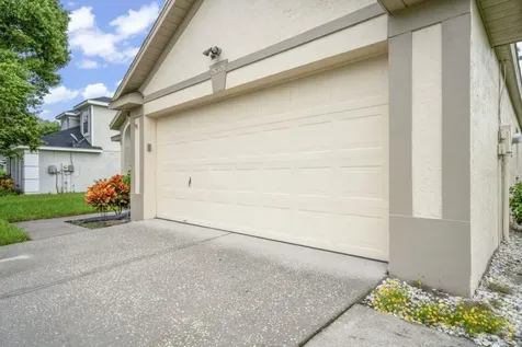 28528 Tall Grass Drive Wesley Chapel FL 33543