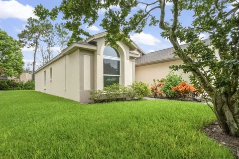 28528 Tall Grass Drive Wesley Chapel FL 33543