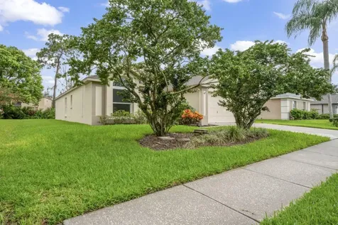 28528 Tall Grass Drive Wesley Chapel FL 33543
