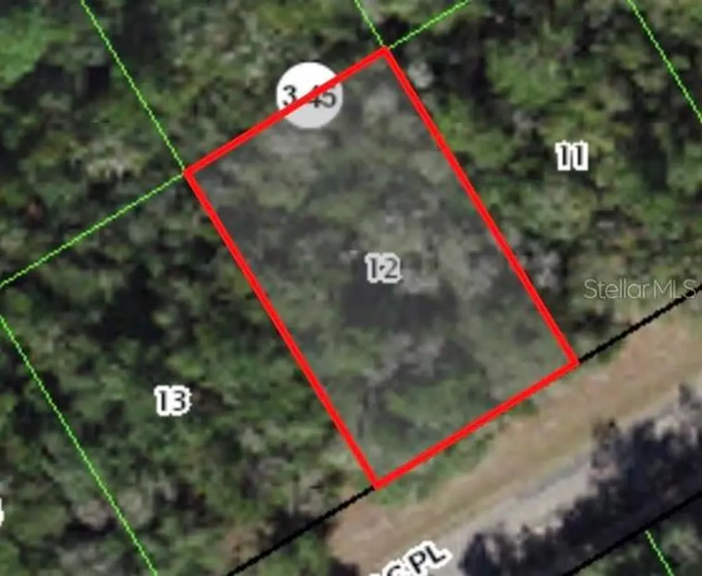 379 W Mac Place Citrus Springs FL 34434