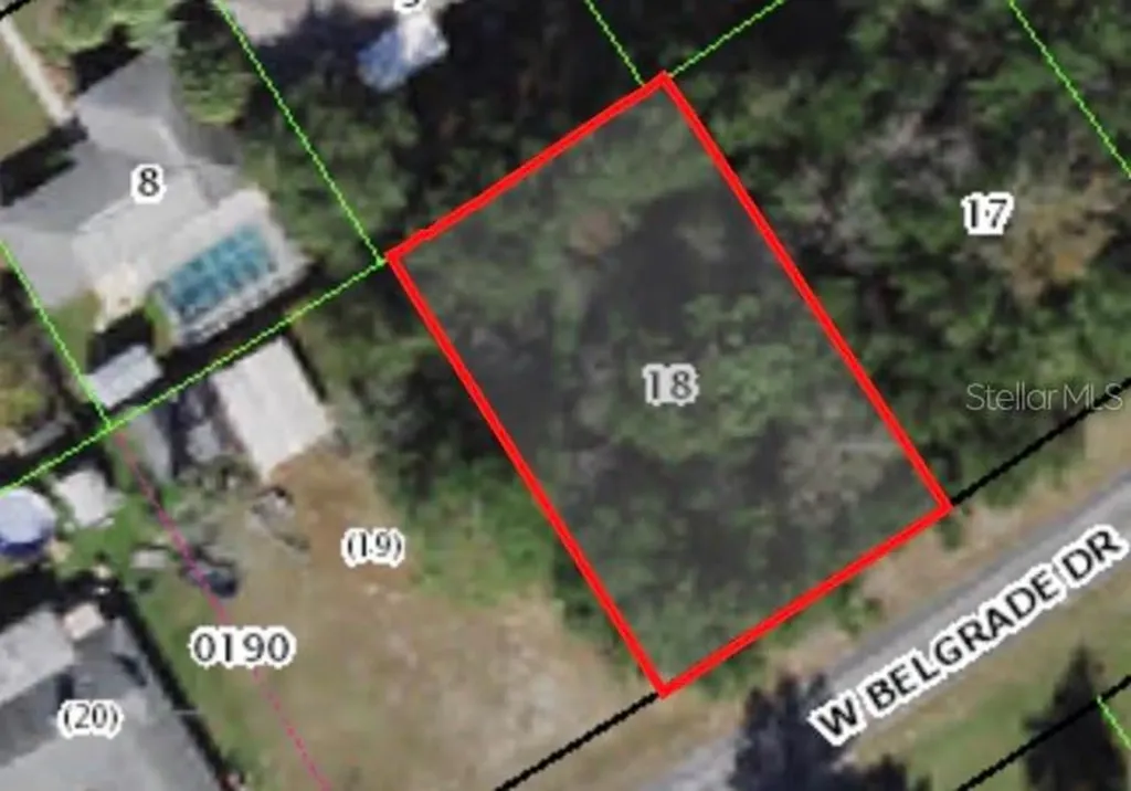 1949 W Belgrade Drive Citrus Springs FL 34434