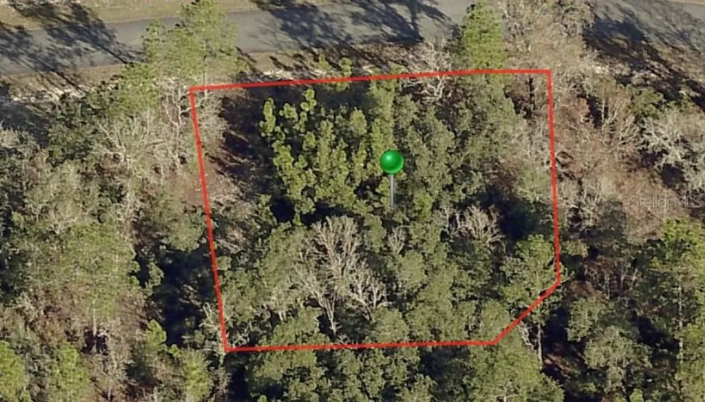 3198 W Montgomery Lane Citrus Springs FL 34433