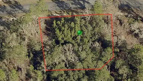 3198 W Montgomery Lane Citrus Springs FL 34433