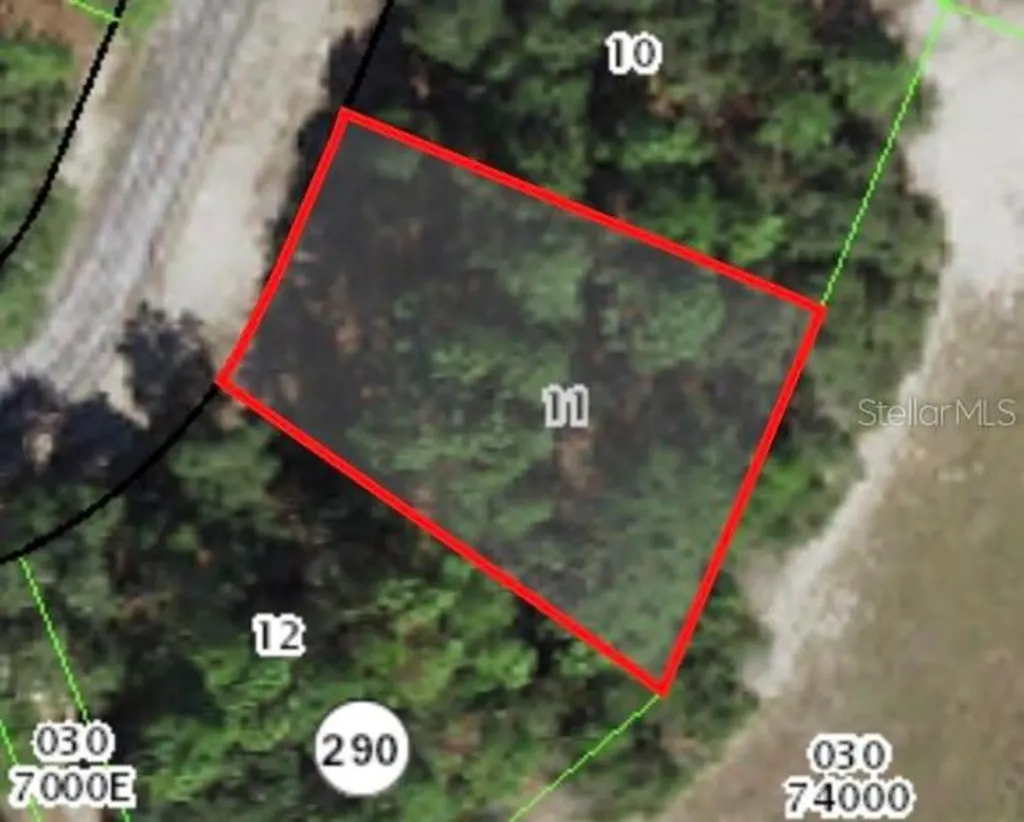 3062 W Marie Drive Citrus Springs FL 34433