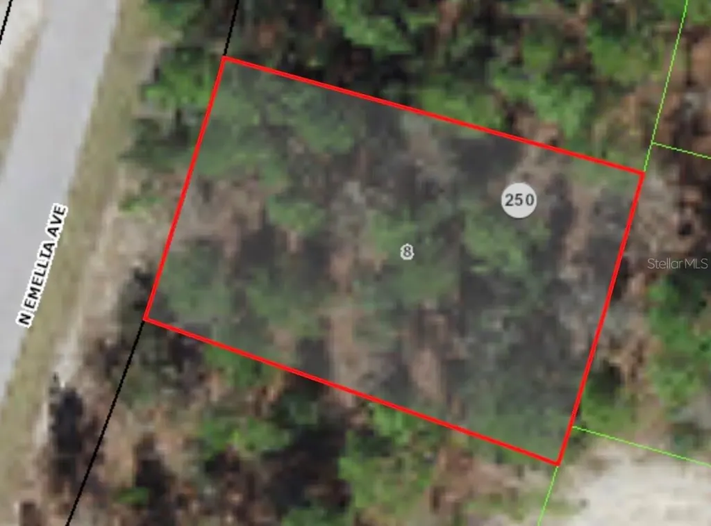 9819 N Emellia Avenue Citrus Springs FL 34433