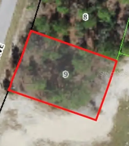 9805 N Emellia Avenue Citrus Springs FL 34433