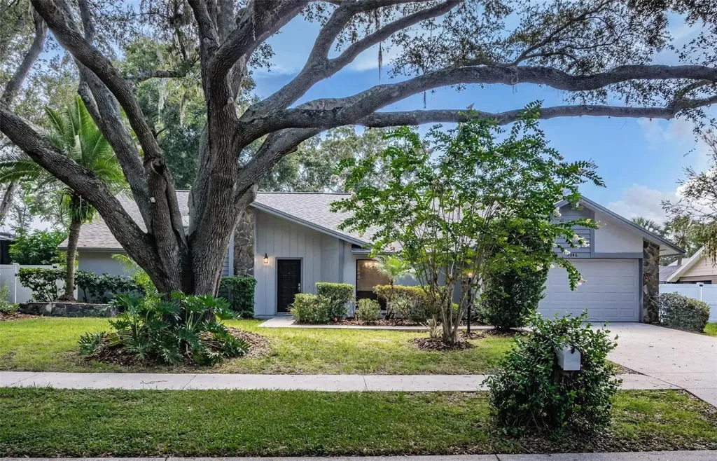 3046 Avalon Terrace Drive Valrico FL 33596