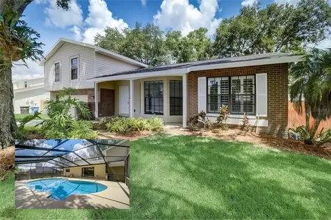 4411 Akita Drive Tampa FL 33624