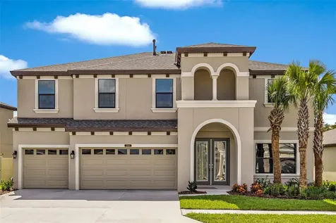 12782 Mangrove Forest Drive Riverview FL 33579
