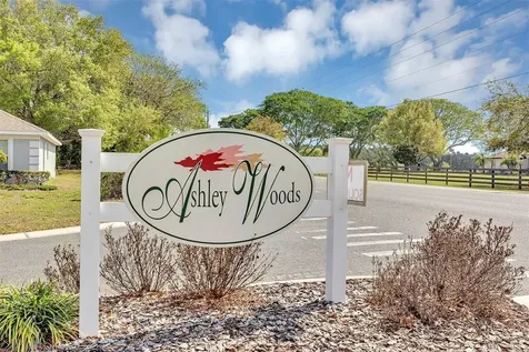 308 Ashton Woods Lane Leesburg FL 34748