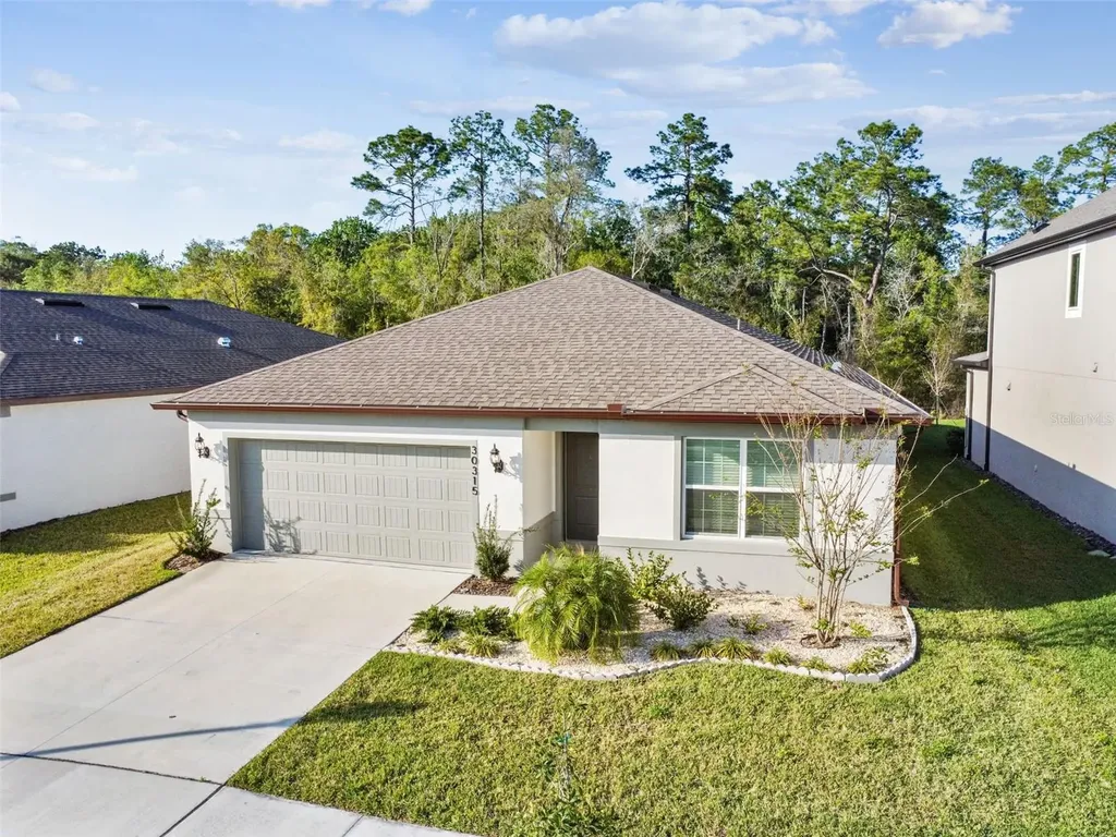 30315 Marquette Avenue Wesley Chapel FL 33545