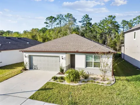 30315 Marquette Avenue Wesley Chapel FL 33545