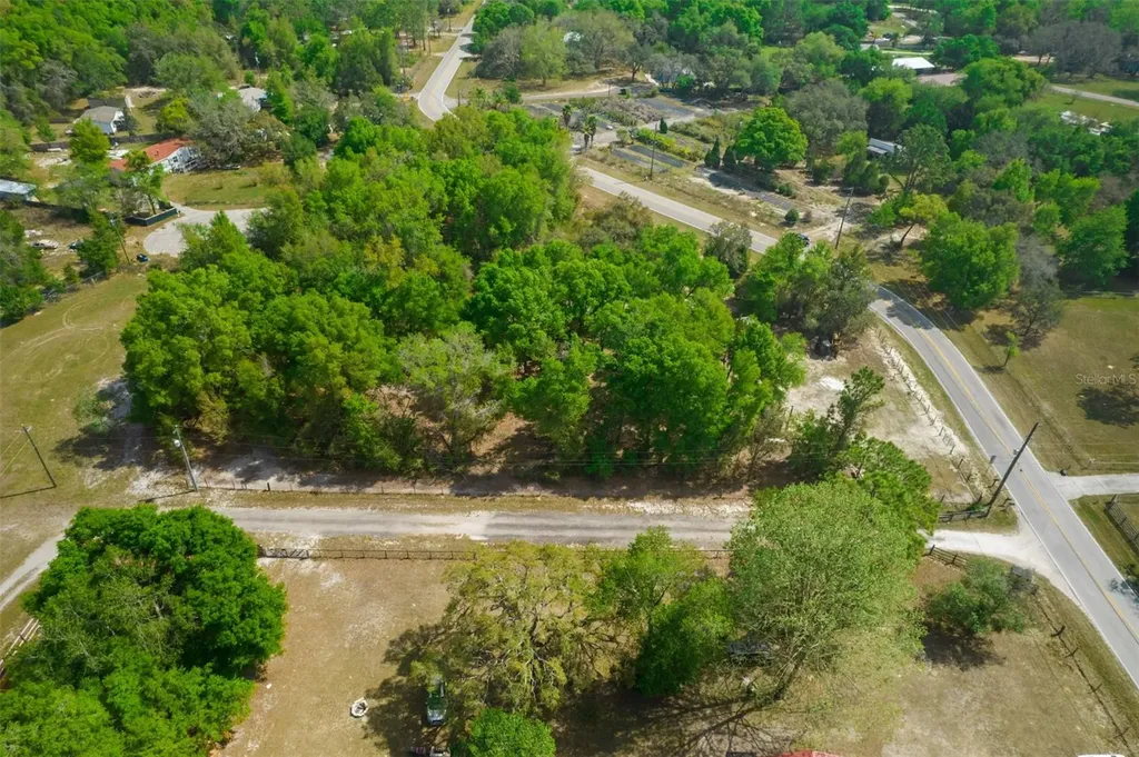 17755 Bosley Spring Hill FL 34610
