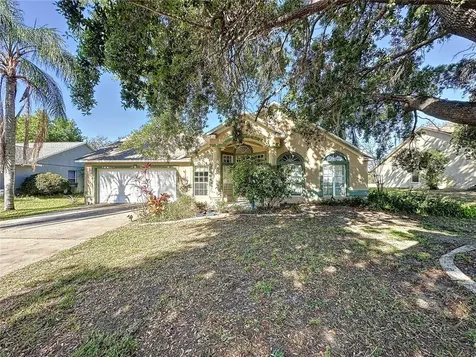 411 Wild Forrest Drive Davenport FL 33837