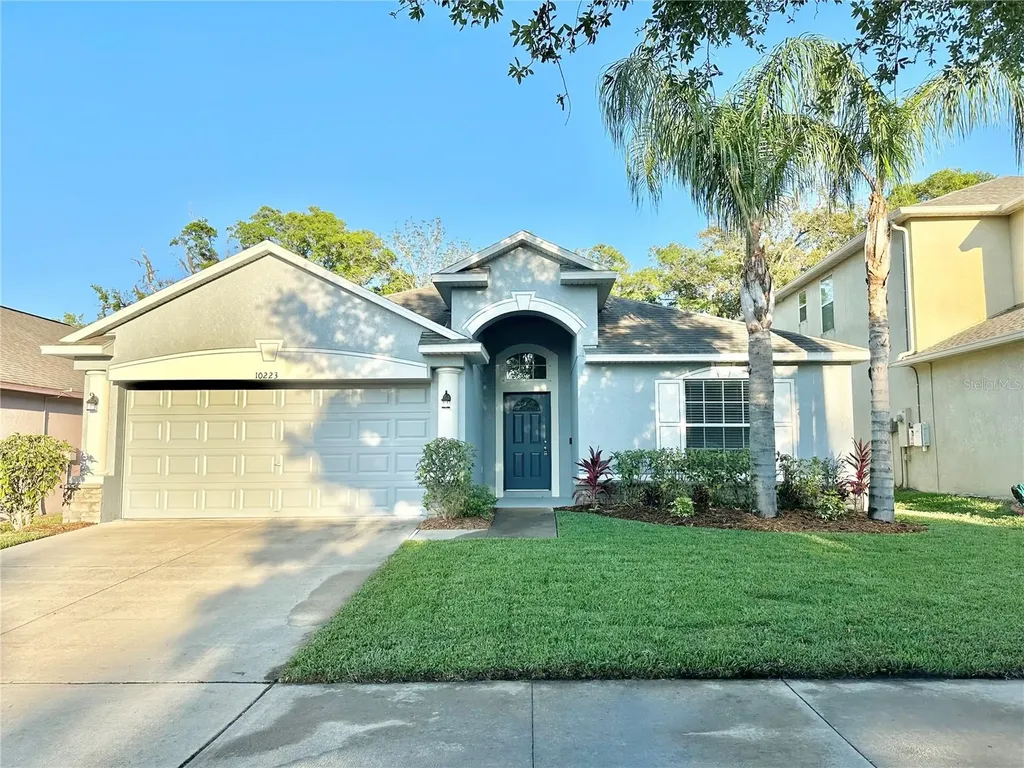 10223 Summer Azure Drive Riverview FL 33578