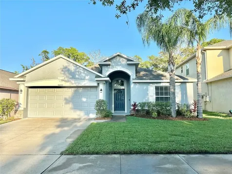 10223 Summer Azure Drive Riverview FL 33578