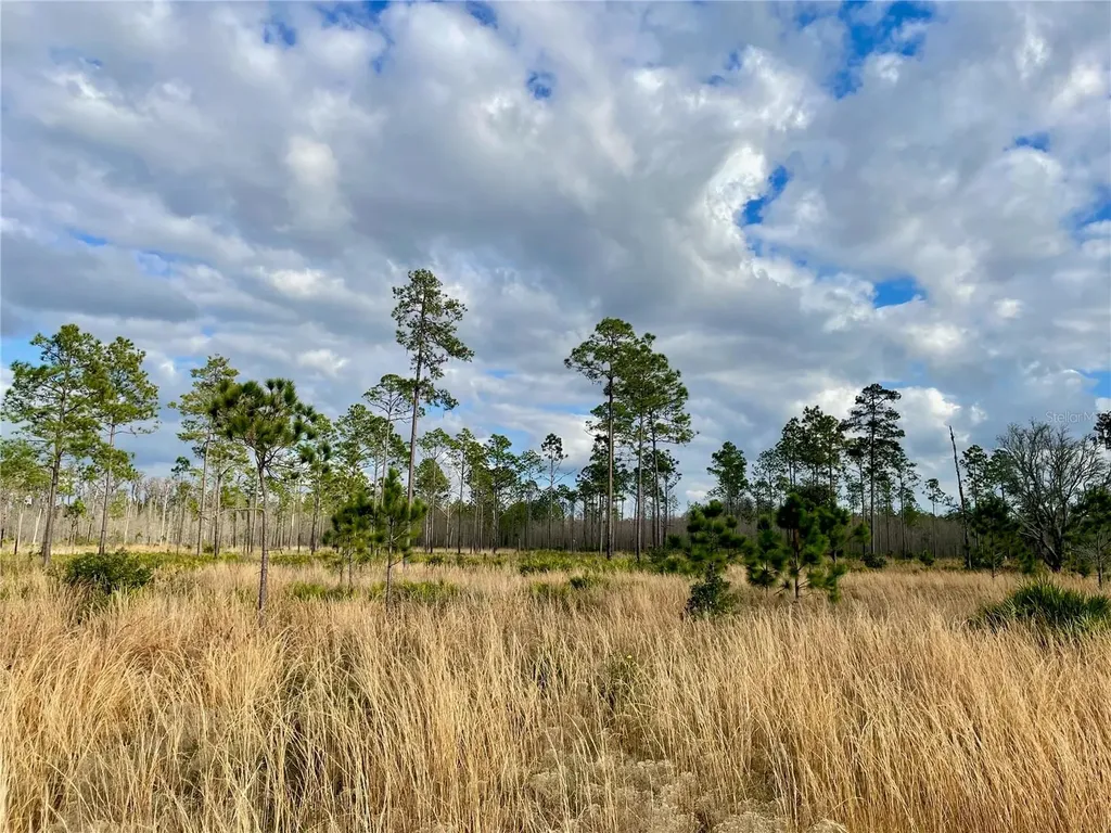 19858 State Road 52 Land O Lakes FL 34637