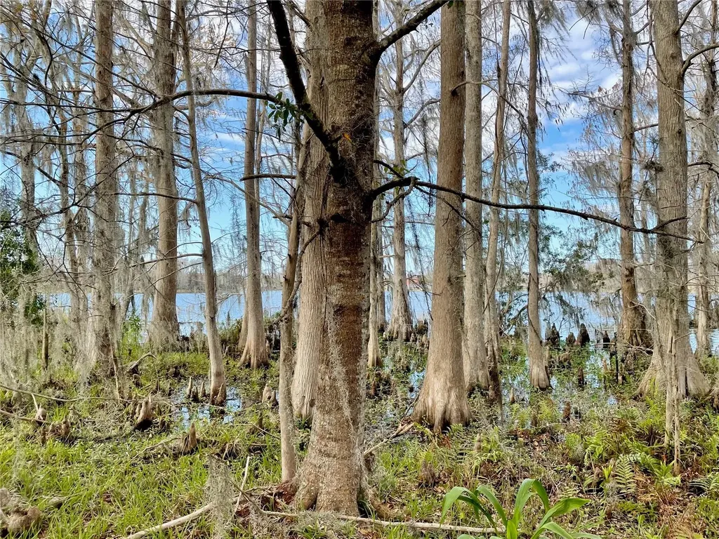 19858 State Road 52 Land O Lakes FL 34637