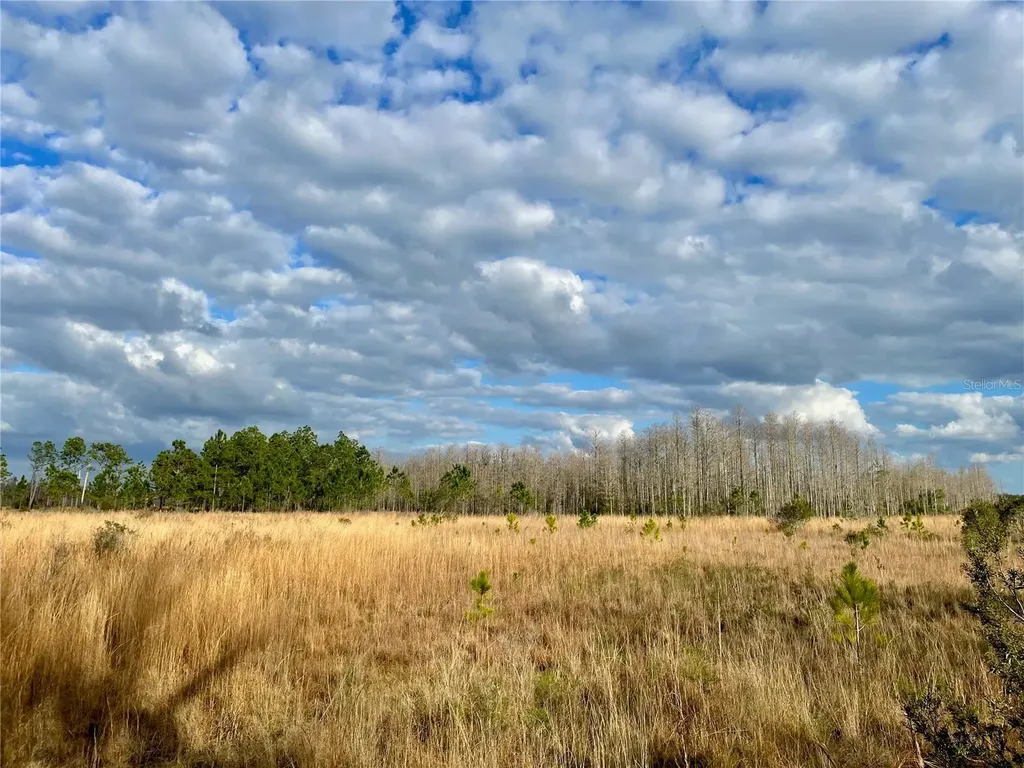 19858 State Road 52 Land O Lakes FL 34637