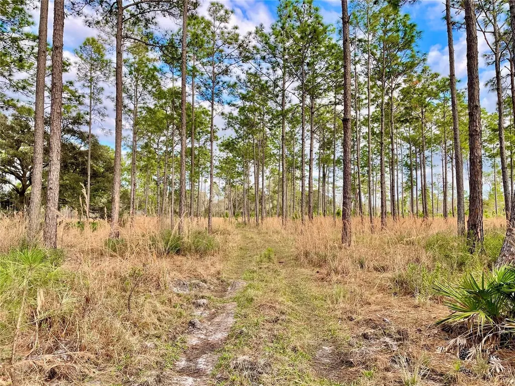 19858 State Road 52 Land O Lakes FL 34637