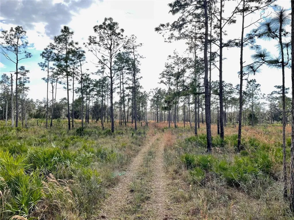 19858 State Road 52 Land O Lakes FL 34637