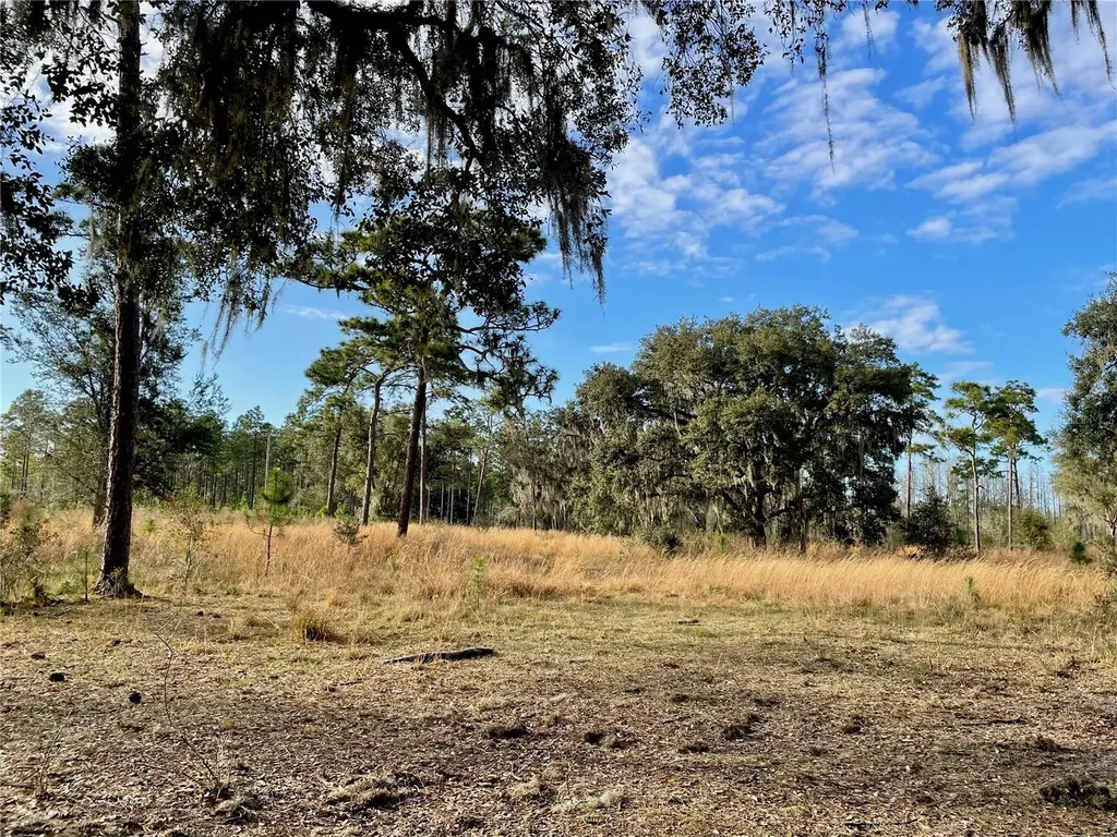 19858 State Road 52 Land O Lakes FL 34637